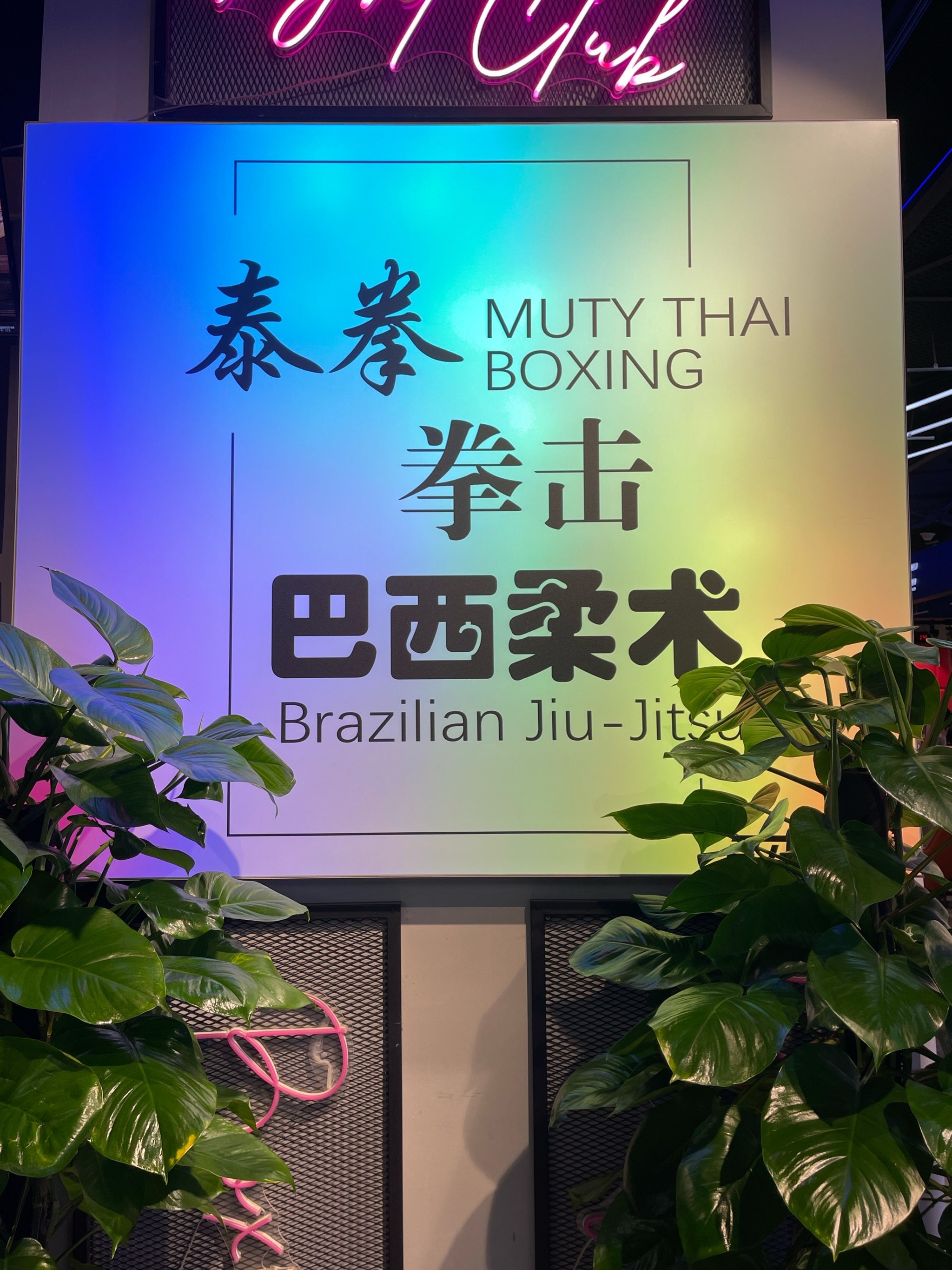  拳击大师赛掀起高潮，庐州雷豹队强势横扫燕赵雄狮队，老将里程碑之夜——传控打穿防线