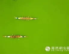 nykd054太重口了-爱游戏ayx体育电竞