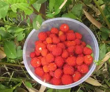 嬙悄y慙並蚴性向9ra068204